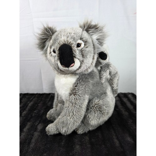 National geographic koala - geographic,